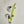 Load image into Gallery viewer, Glow Worm, Led Flashing Slow Pitch Jig 150g