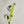 Load image into Gallery viewer, Glow Worm, Led Flashing Slow Pitch Jig 150g