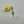 Load image into Gallery viewer, Bottom Slob